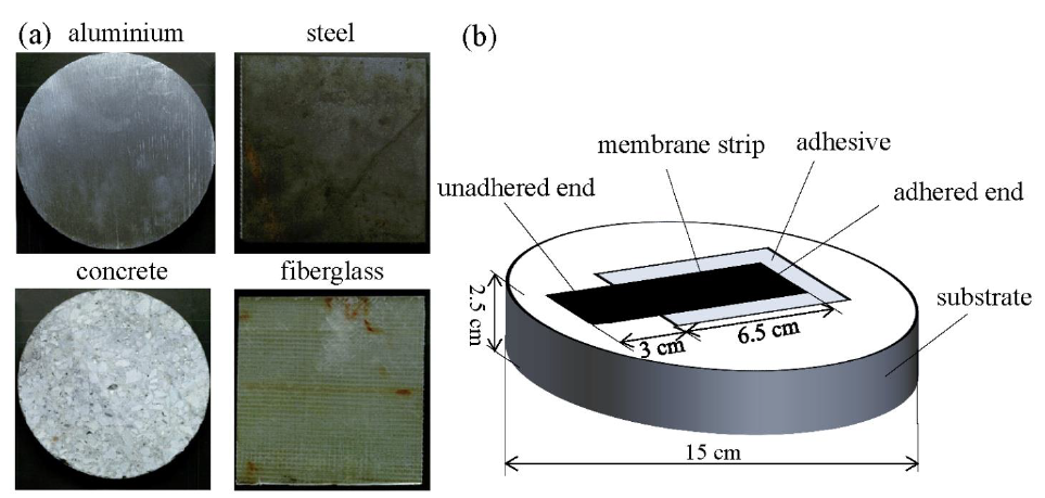 Figure 2 (a) Substrate surfaces; and (b) a schematic of one strip adhered on the substrate.