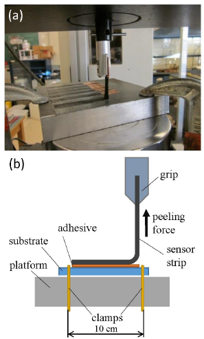 Figure 3(a) A peel resistance test on the Instron 5569 platform; and (b) a schematic of the peel resistance test.