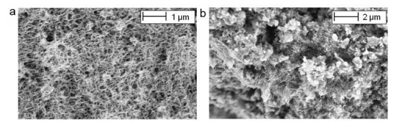 Figure 2: SEM pictures of the CNTCS: (a) water suspension with CNTs; and (b) hardened composite cement paste.