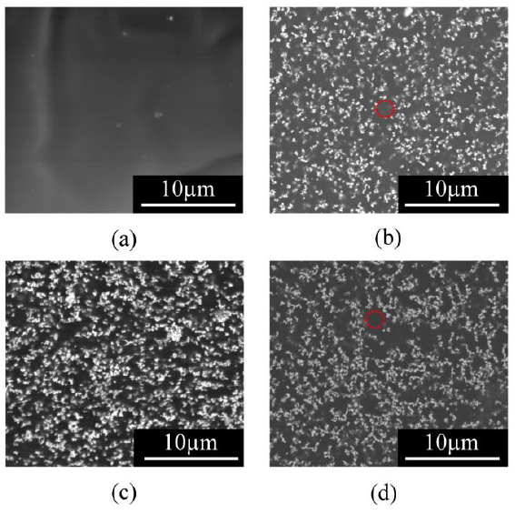 Figure 3. SEM images of a) pure SEBS, b) SEBS-TiO2, c) SEBS-TiO2 (PDMS) and d) SEBS-TiO2 (Si-69). The dotted red circle shows areas with lower density of filler.