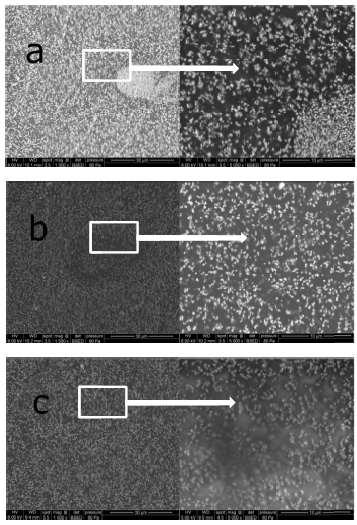 Fig 3. Fracture Surface Morphology of SEBS/TiO2 nanocomposites a) Coated, b) unc, c) uncsi.