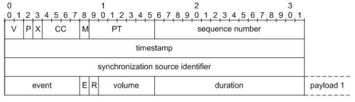 Fig.2. RTP packet of first kind