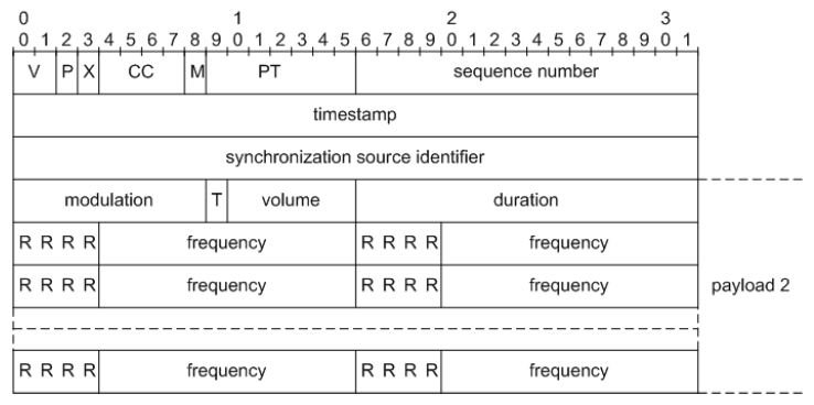 Fig.3. RTP packet of second kind