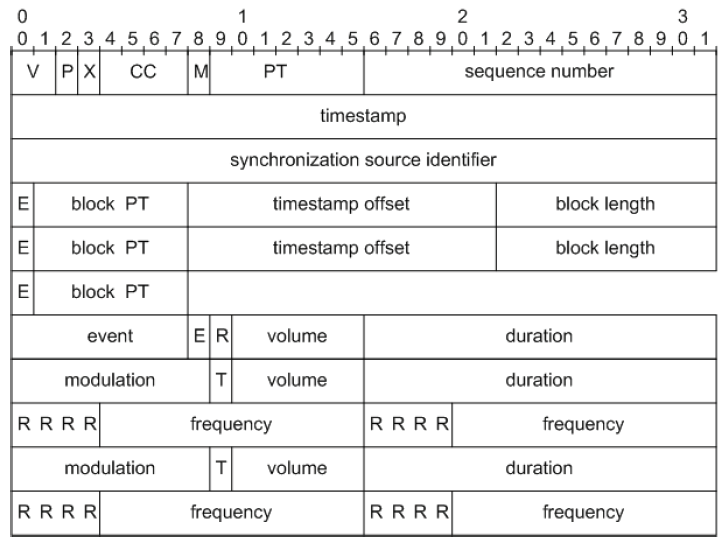 Fig.6. The structure of the redundant packet