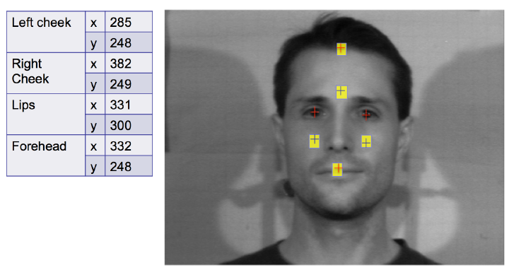 Figure 12 ‐ Sample results obtained from the feature extraction algorithm.