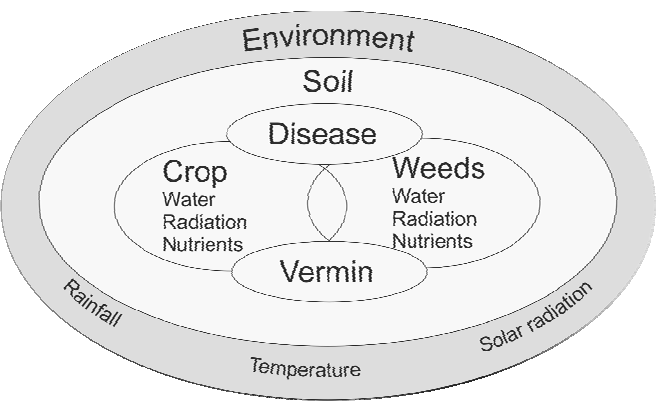 Figure 1. Schematics of the components related to the crop growth model.