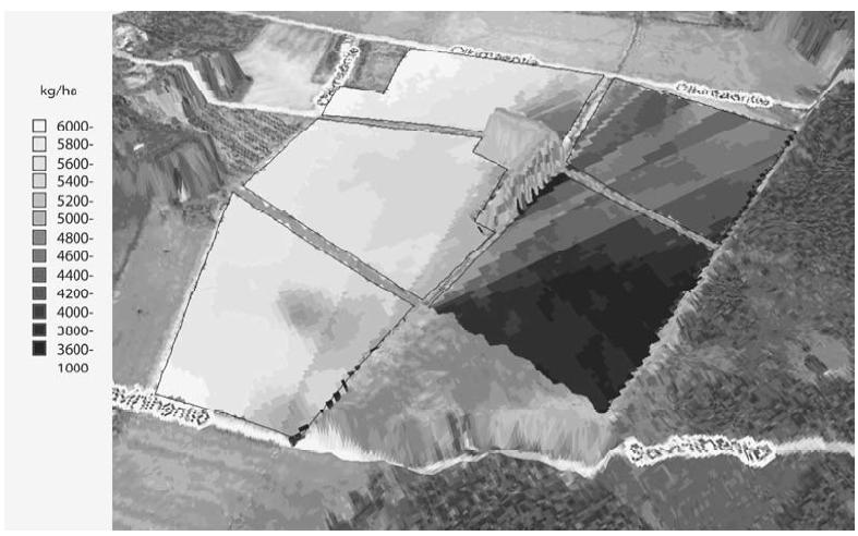 Figure 6. Simulated site-specific grain yield in five different fields.