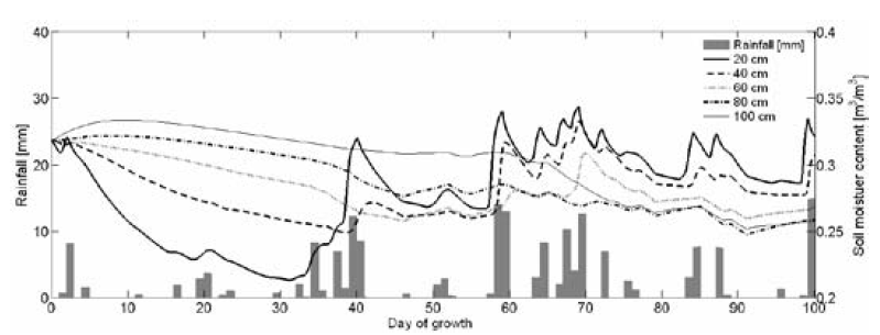 Figure 7. Simulated rainfall and soil moisture contents from several depths of soil in one cell of field.