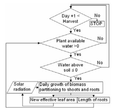 Figure 2. A flowchart of the calculations in the plant growth model.