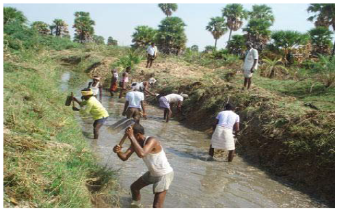 Figure 1 Channel System Irrigation