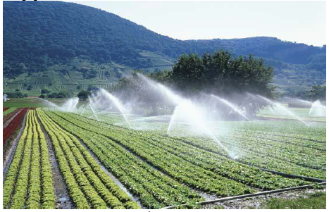 Figure 2 Sprinkler System Irrigation