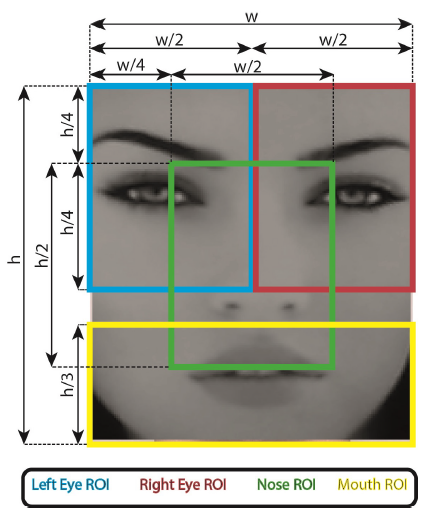 Figure 11: Relative parts of face ROI division (on a face that was detected by the first call to "detectMultiScale")