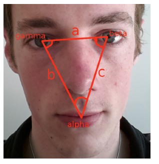 Figure 3.2: the cosinus law on a face.