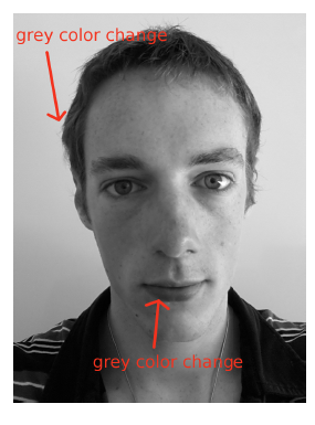 Figure 8.1: Sample of our face detection algorithm.