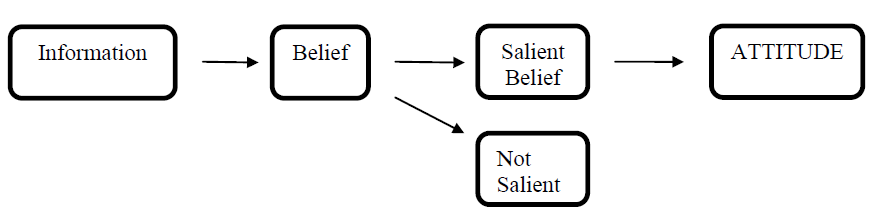 Figure 2: Formation of beliefs and of attitudes