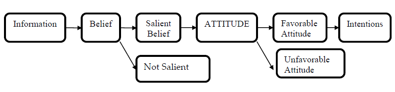 Figure 3: The formation of beliefs, attitudes and intentions