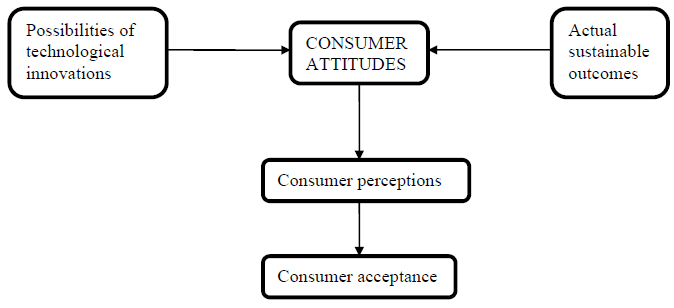 Figure 17: What determines consumer buying decision (Ozaki & Sevastyanova, 2010)