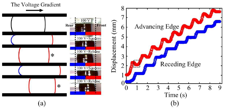 Fig. 4.14 (a) The cross-sectional view of the semi-ratchet-like motion of the advancing and the receding edge of a water droplet. (b) Trajectory of the semi-ratchet-like motion of the advancing and receding edges.