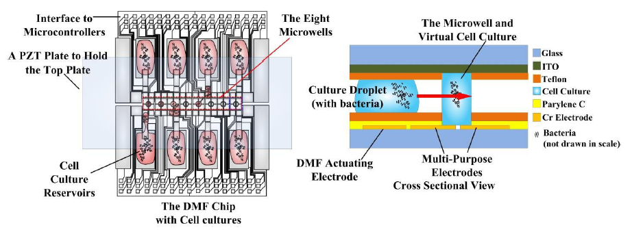 Fig. 5.1. The proposed topology of the DMF chip. The top plate is an ITO coated transparent glass, held by a PZT plate.