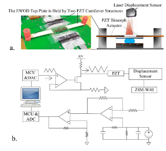 Fig. 3.20 (a) The experiment setup of the EWOD system and the cross section of the PZT cantilever structure with the EWOD system. (b) The proposed portable EWOD top plate positioning system.