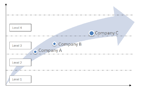 Figure 4: Level of e-commerce development in the interviewed companies