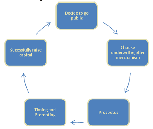 Figure 2.1 The IPO process