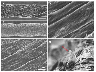 Figure 63 – SEM Images of GO/CNT composite nanofibers