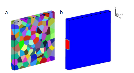 Figure 4.6: (a) The 3D computational polycrystalline sample (side view), which has 190 grains, and (b) the region (in red) of applied loading (with 4 GPa of sudden pressure).