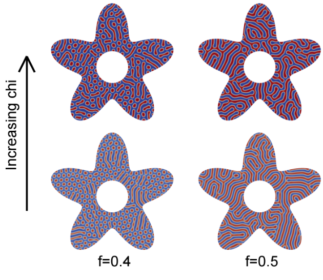 Figure 8: 2D structures using a non-uniform mesh to show variation 