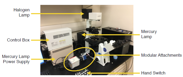 Figure 2 — The final microscope setup as used in this study with relevant labels.