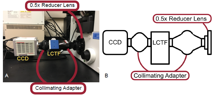 Figure 3 — A. Picture of modular attachments used in this study. B. A schematic of the attachments used.