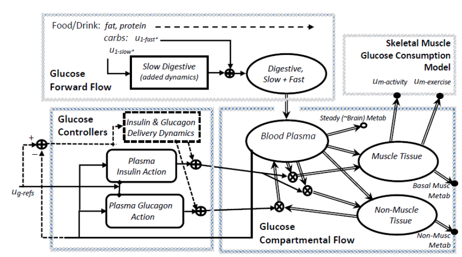 Figure 3.2: Schunk-Winters Compartmental Model Block Diagram and Structure.