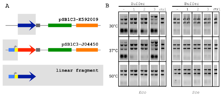 Figure 2.2 The 2-way Linear Assembly and Buffer Optimization