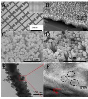 Figure 5-6. Characterization of nanomaterials by electron microscopy.