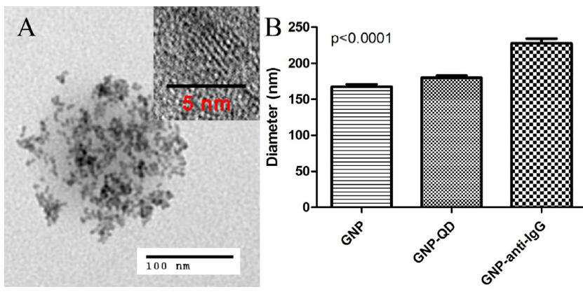 Figure 3-5. Microstructures of hybrid nanoparticles. 