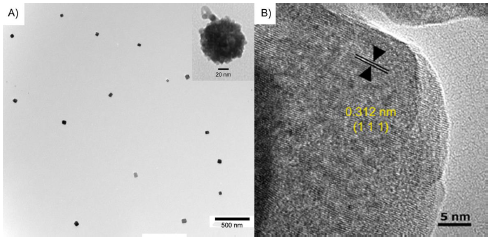 Figure 4-5. Upconversion antibody model characterization by TEM. 