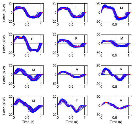 Figure 4.10: Force cycles separated to evaluate cycle durations (side-to-side standing sway)