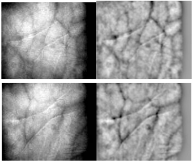 Fig. 6 Sample image data before (left) and after preprocessing (right)