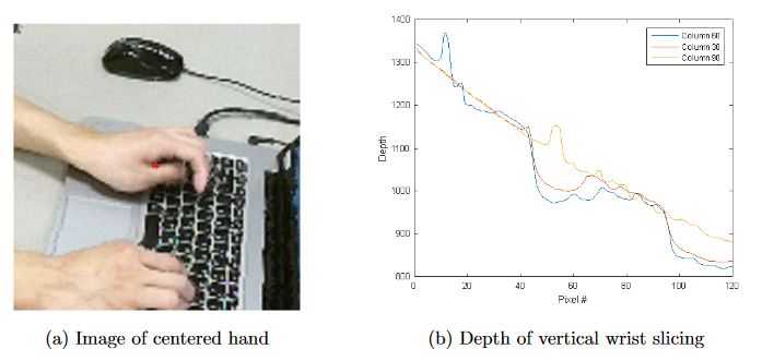 Figure 8.1: Sample for growing wrist region