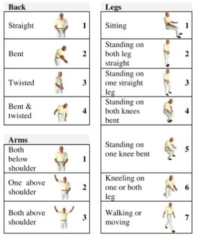 Figure 3.1: OWAS risk codes for back, shoulders, and legs