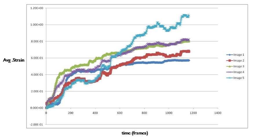 Figure 24: Image Correlation Strain