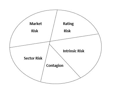 Figure 2.1: Disaggregated Risk Factors Impacting Firm Value